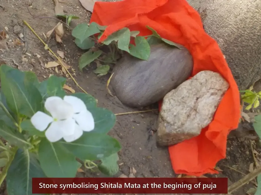 the-day-of-shitala-devi bodyImage